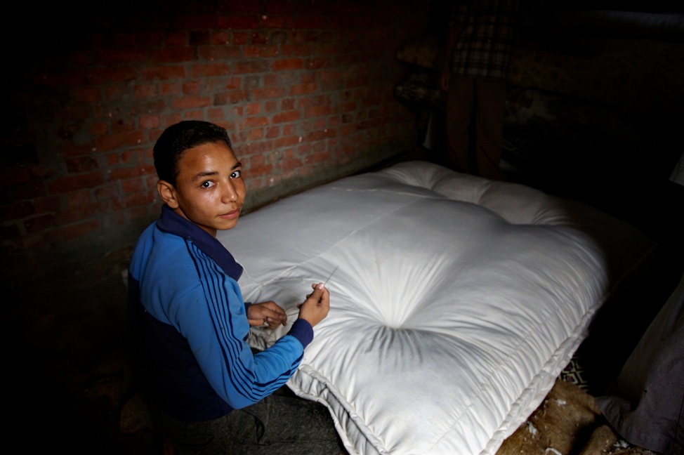 EgyptCotton17