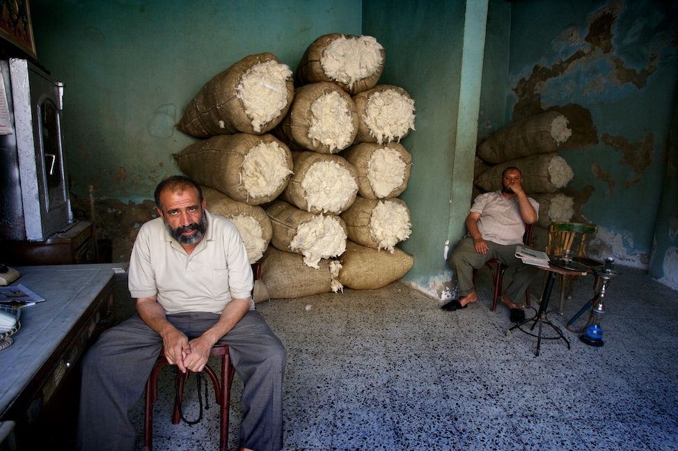 EgyptCotton19