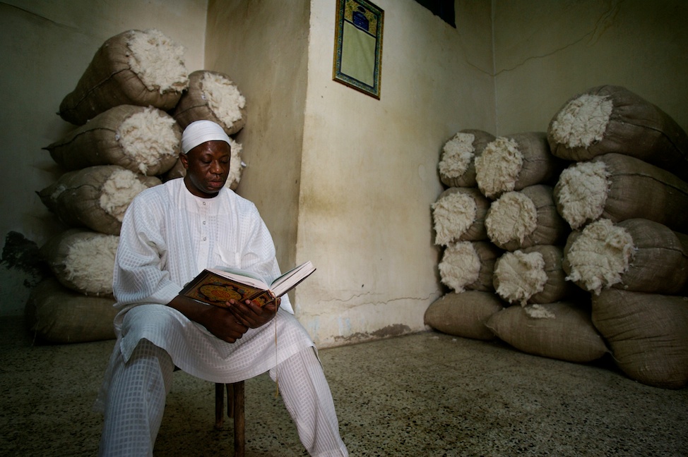 EgyptCotton21