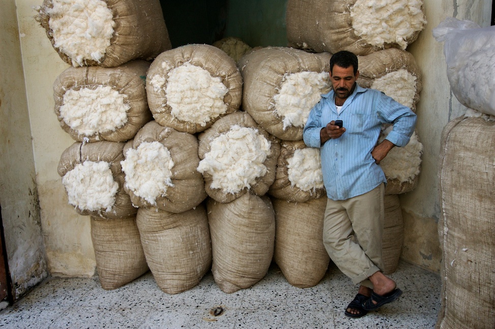 EgyptCotton22