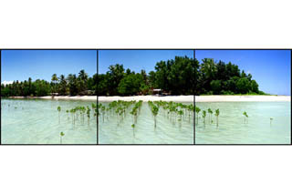 Tuvalu14